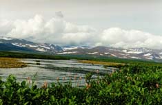 В верховьях реки Бур-Хойла