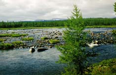 7-ая горка на р.Бур-Хойла