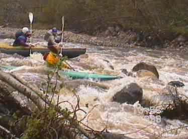 ����� 1-15. ��� ���� ���������. ����� - ���.