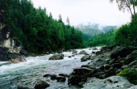 ���� �� �.������������